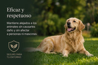 Faunelle® Guardian Solar – Ahuyentador Ultrasónico Solar para Gatos y Pequeños Animales
